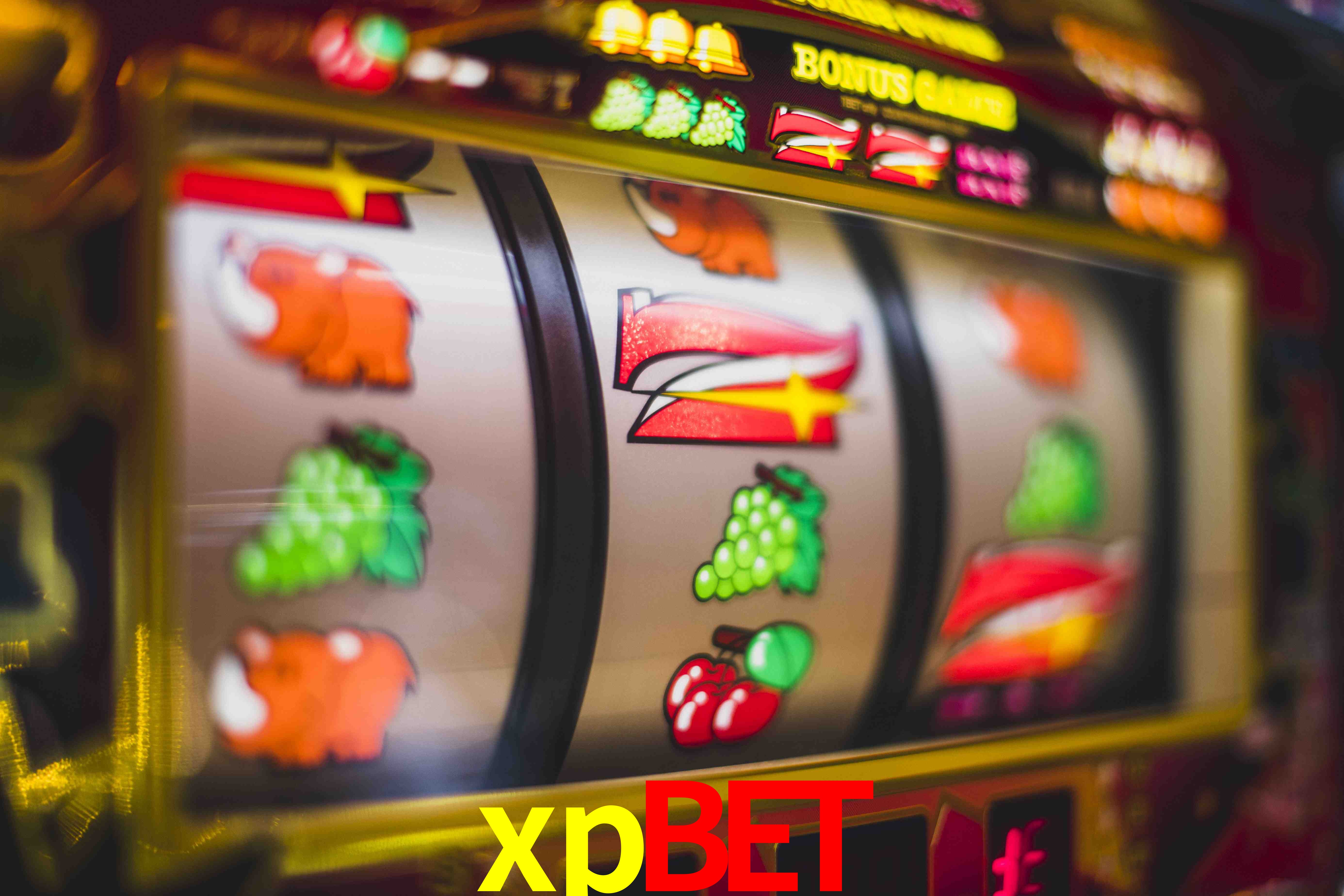 Live Casino xpbet